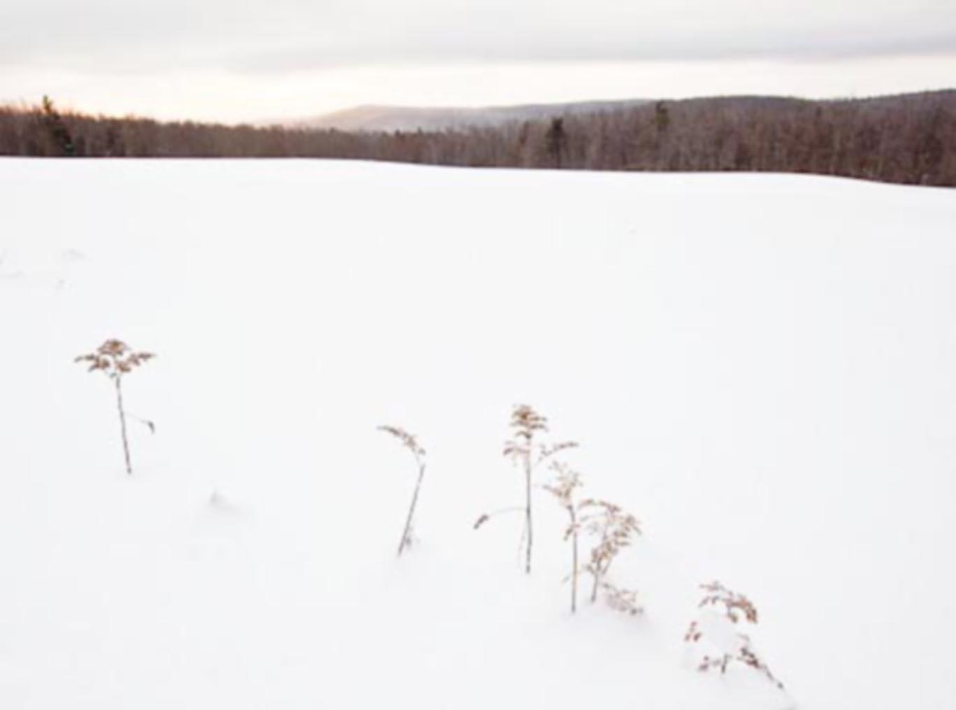 DIPN_tea_infuser_strainer_by_gregorysung_for_GUZZINI_and_E-MY